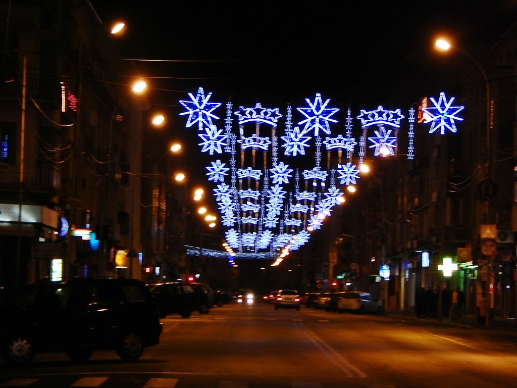 Satu Mare se transformă în oraș de poveste. Au început pregătirile