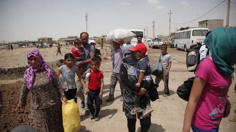 39 de migranți descoperiți aproape de județul Satu Mare