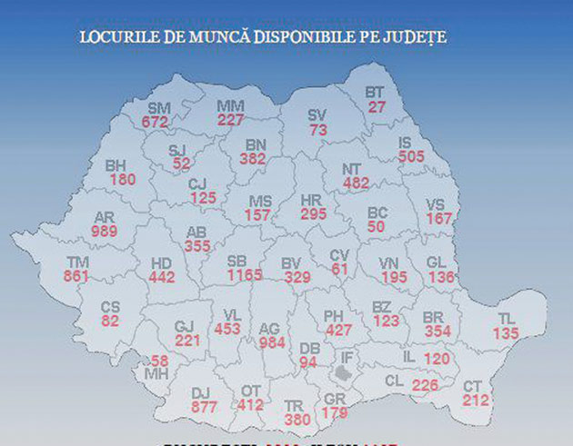 Nevoia de calificare într-un domeniu nou