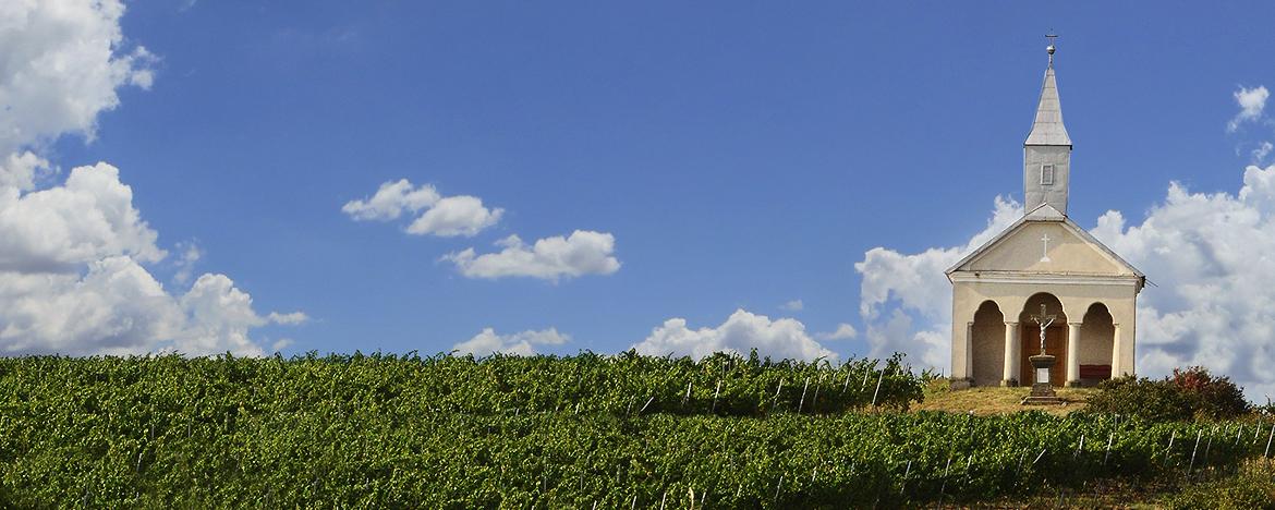 Istoricul localităţii Beltiug