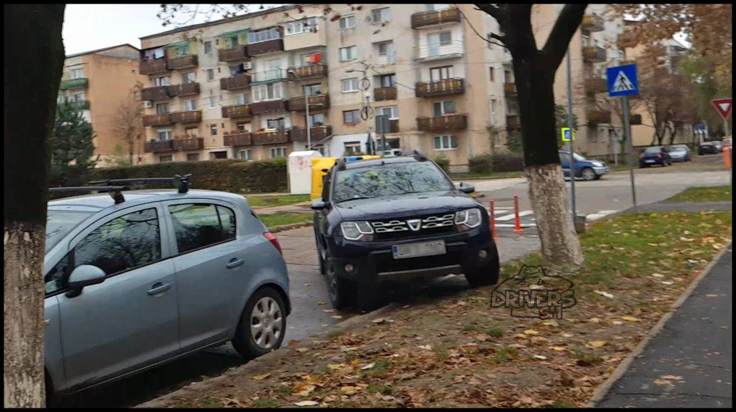 Cum distrug unii  sătmăreni spațiile verzi