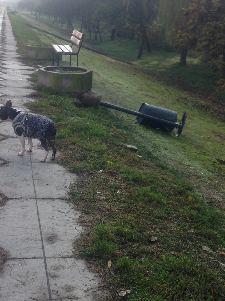 Da’ cu coșu’ ce-ați avut?