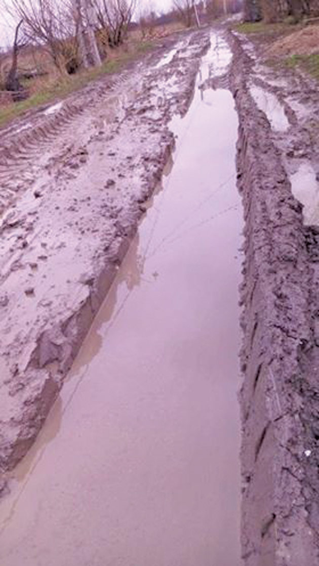 Căruța-ambulanță, pentru străzile din municipiul Satu Mare