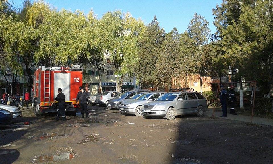 Tigaia buclucaşă şi pompierii vigilenţi