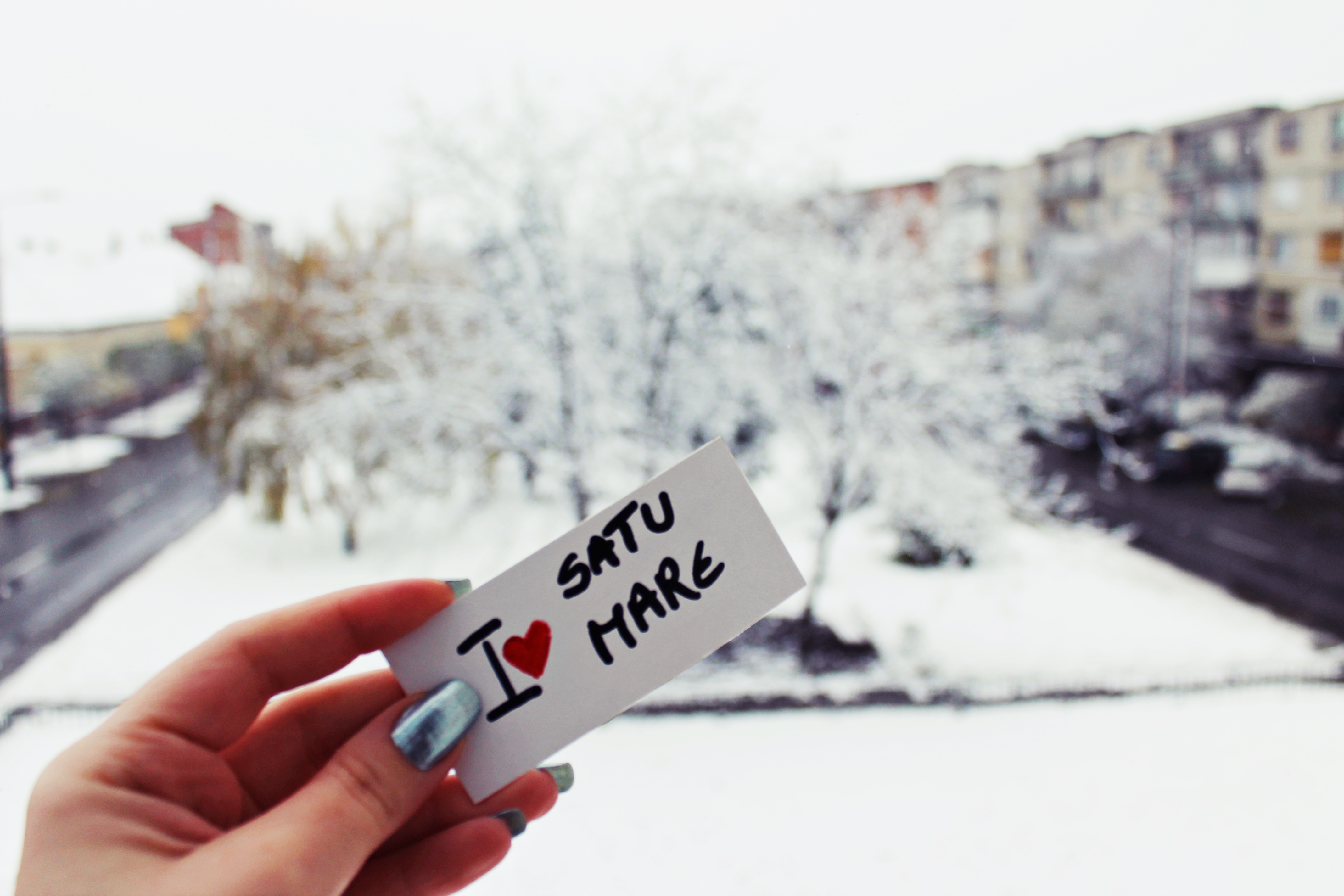 Satu Mare, transformat în basm (GALERIE FOTO SUPERBĂ)