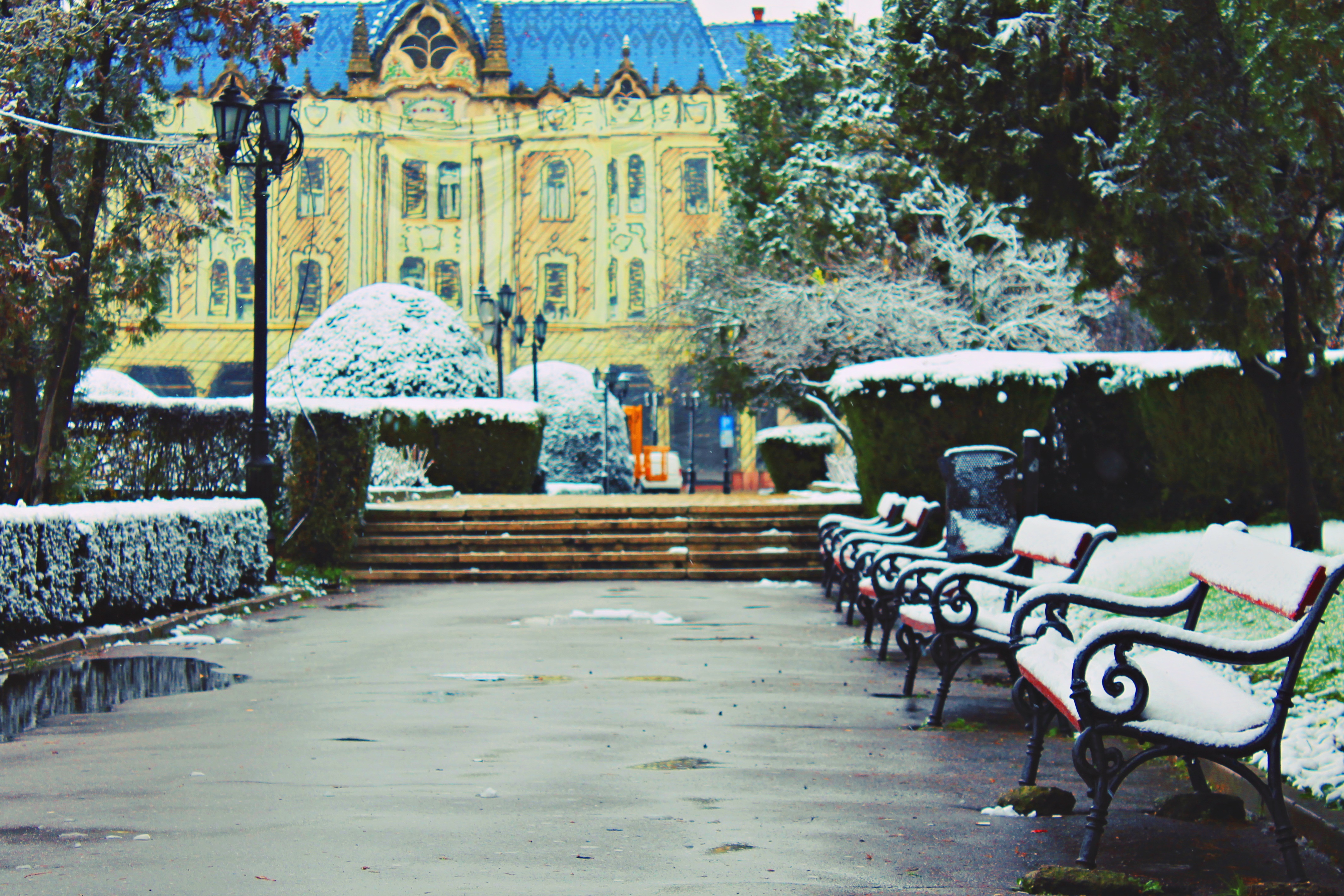 Vin ninsorile! Cod galben și portocaliu de ninsoare în județul Satu Mare