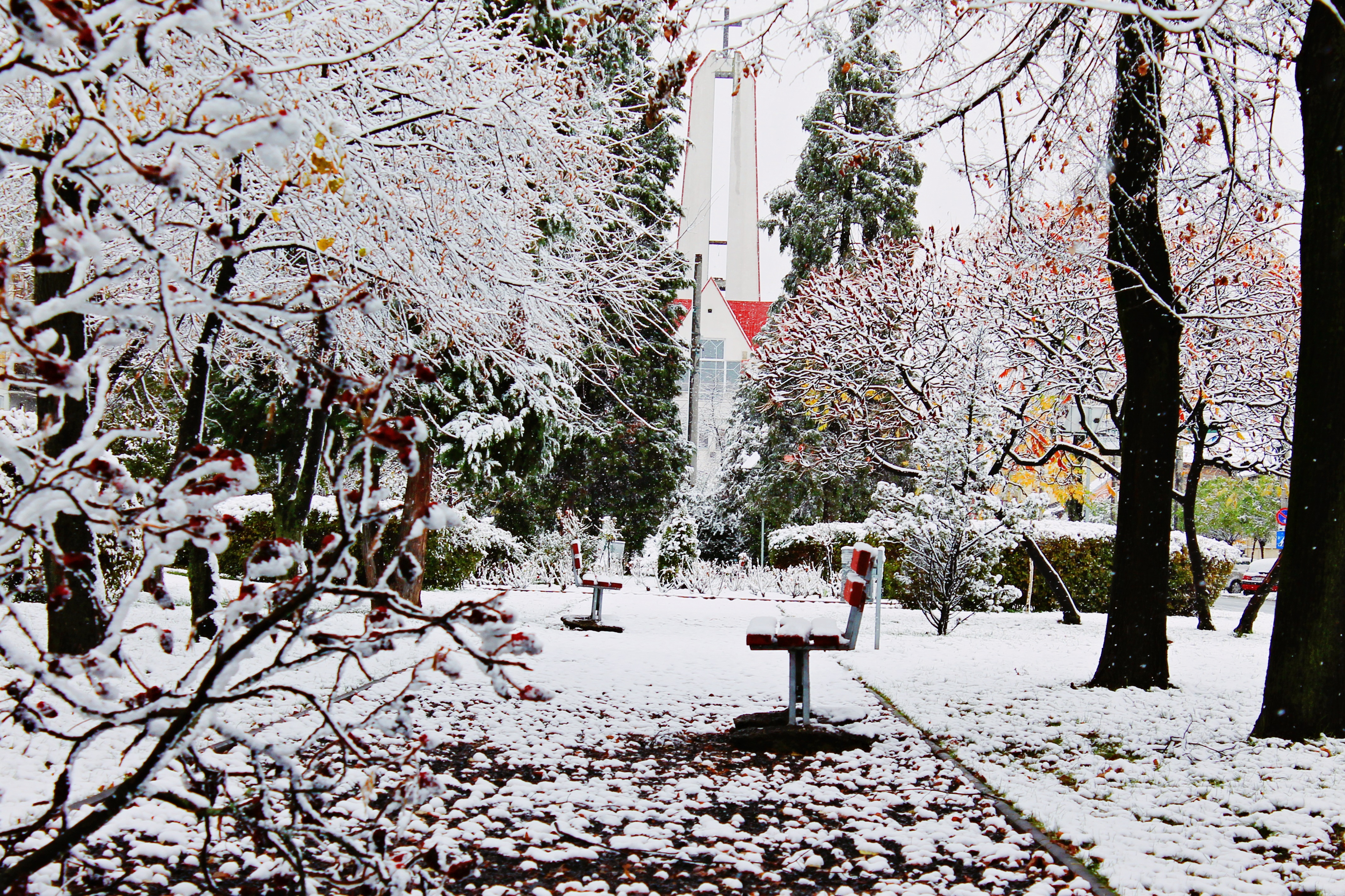 Prima ninsoare la Satu Mare. Ce spun meteorologii