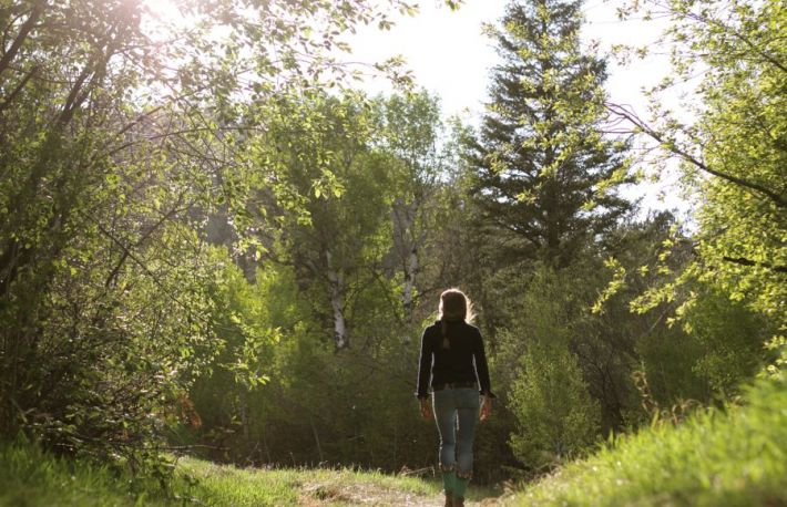 Marșul Cetății, pledoarie pentru mișcare