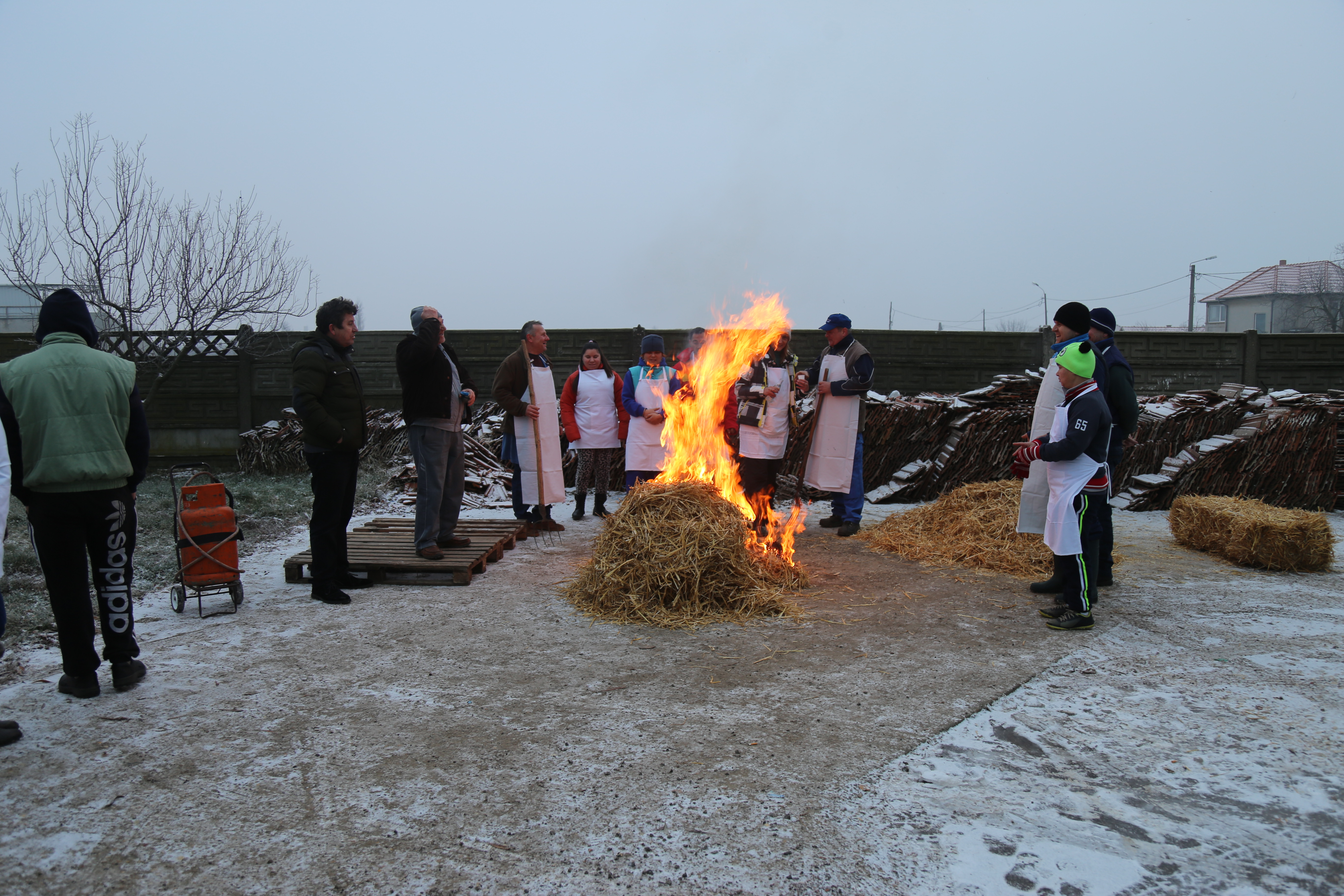 Tăiat de porc la Centrul de Îngrijire şi Asistenţă Socială