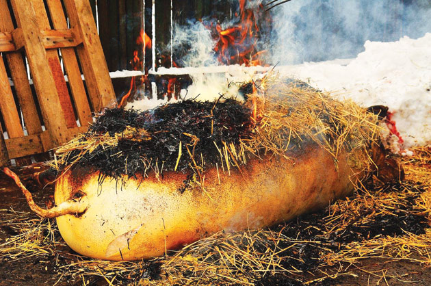 Tradiţii şi obiceiuri de Ignat – Cum se taie porcul la Ardud