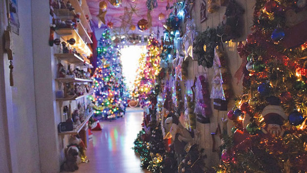 Un cuplu german și-a decorat casa cu peste 100 de brazi de Crăciun