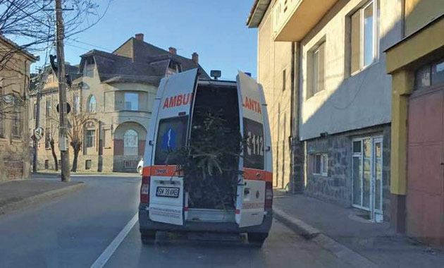 Brazi transportați cu ambulanța la Satu Mare