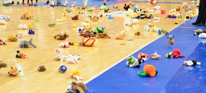 Seara jucăriilor de pluș!