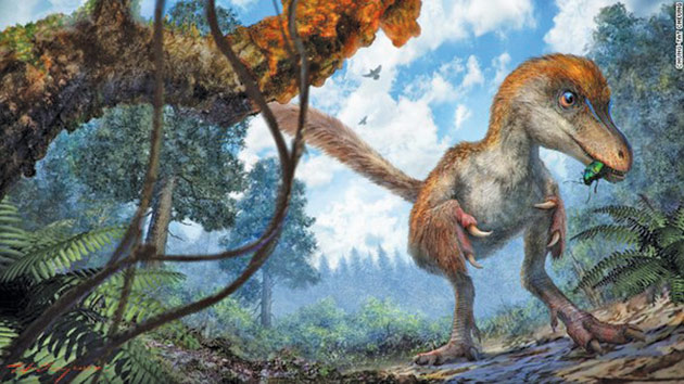 A fost descoperită o coadă de dinozaur veche de 99 de milioane de ani, conservată perfect