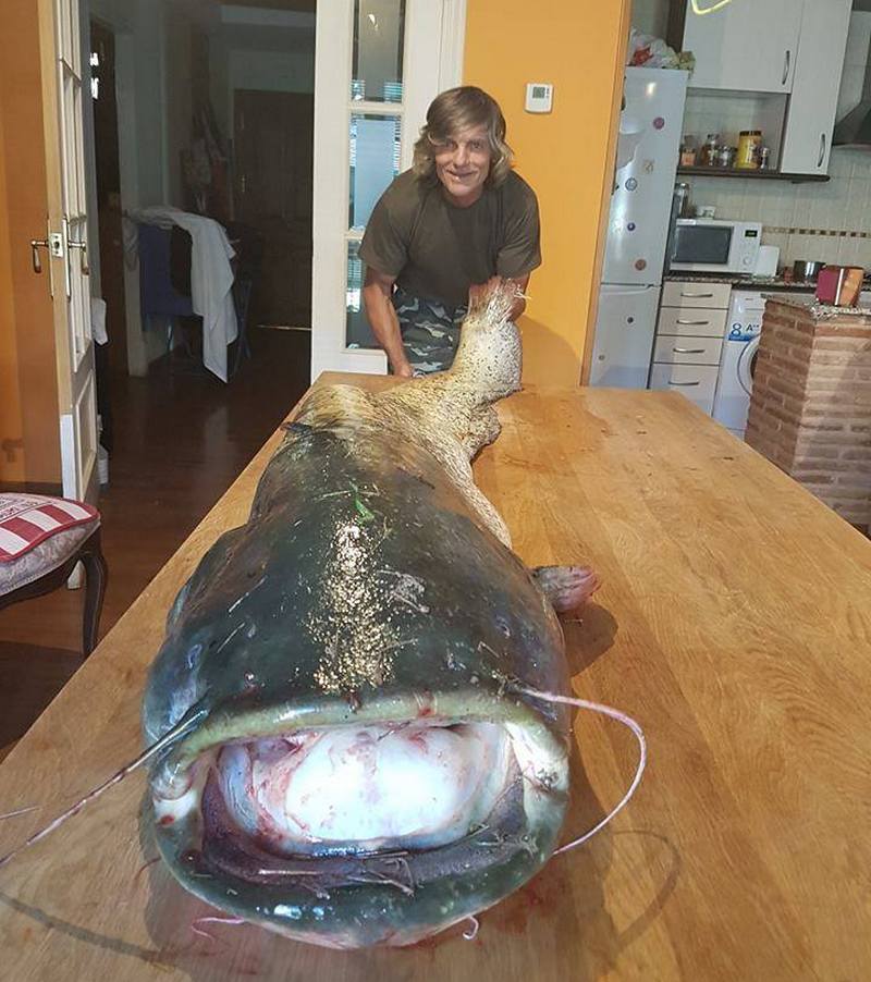 Monstru capturat de un sătmărean în Spania