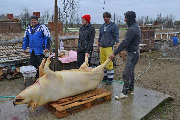 N-au mai apucat Crăciunul...