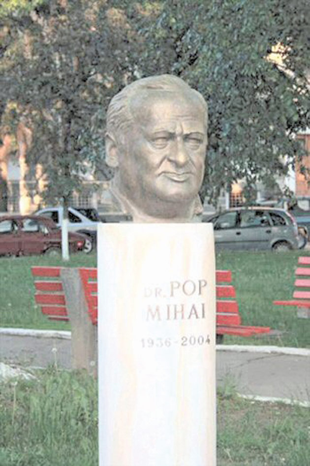 mihai-pop1