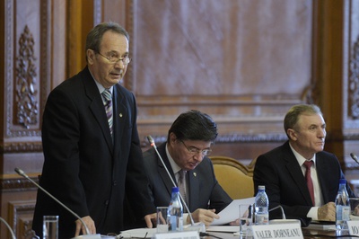 Guvernul poate emite  ordonanţe simple