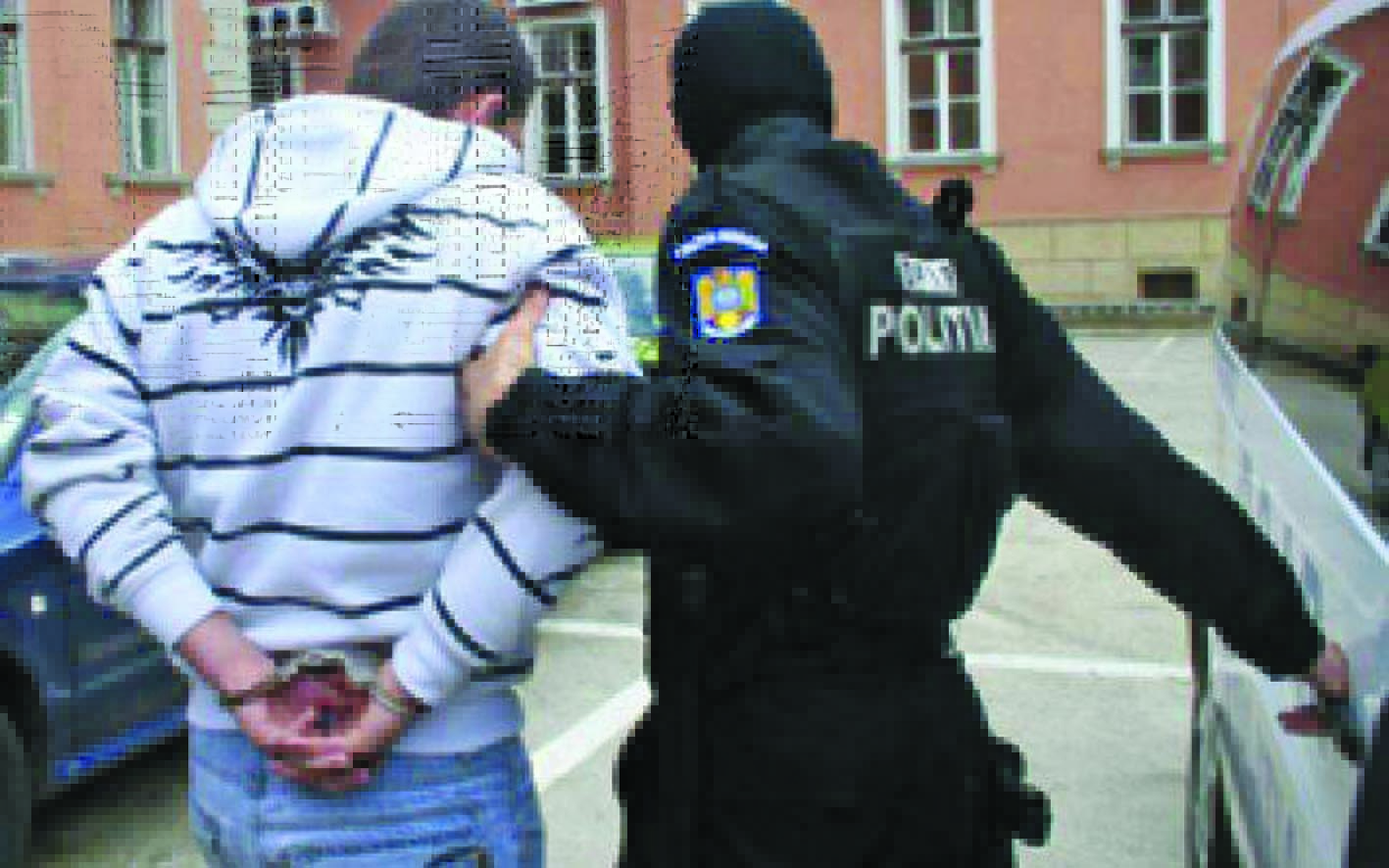 Hoț prins de polițiștii sătmăreni
