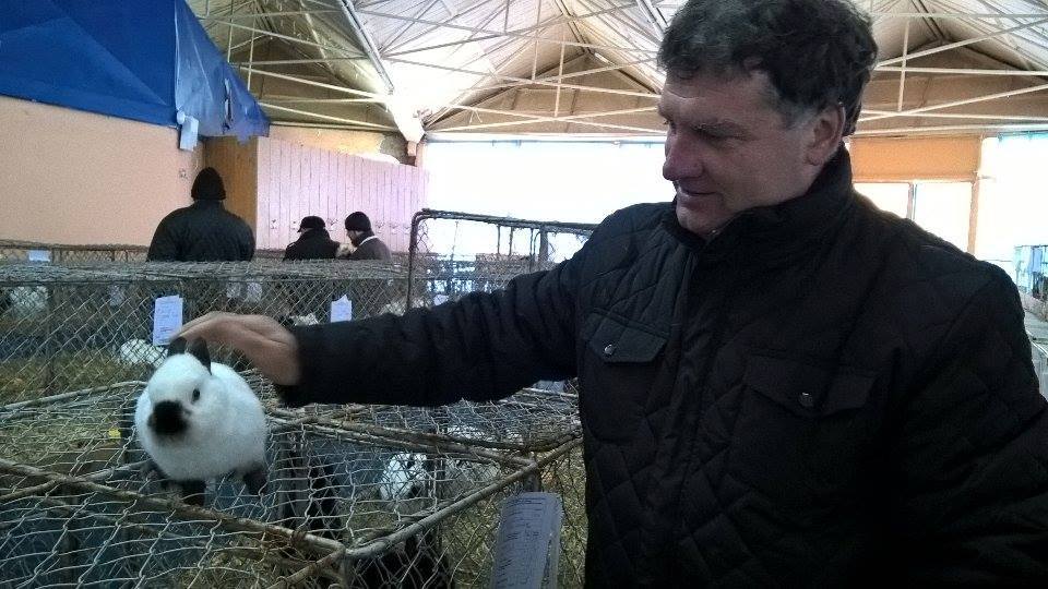 Sute de păsări și animale mici  expuse la Satu Mare