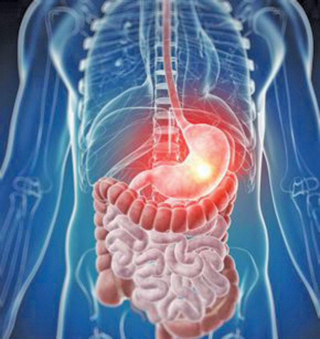 Un organ despre care nu se ştia a fost descoperit în corpul uman