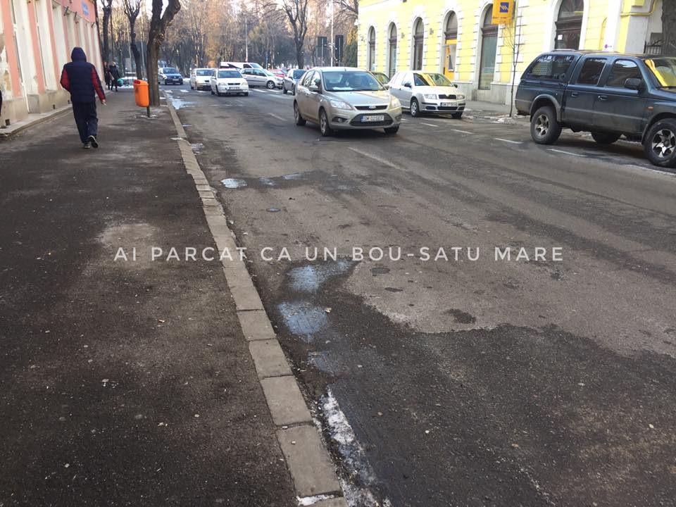 Nu mai parchează  ca nişte boi