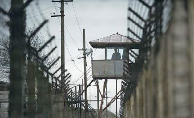 Proiect OUG:  Se grațiază în întregime pedepsele cu închisoare de până la 5 ani