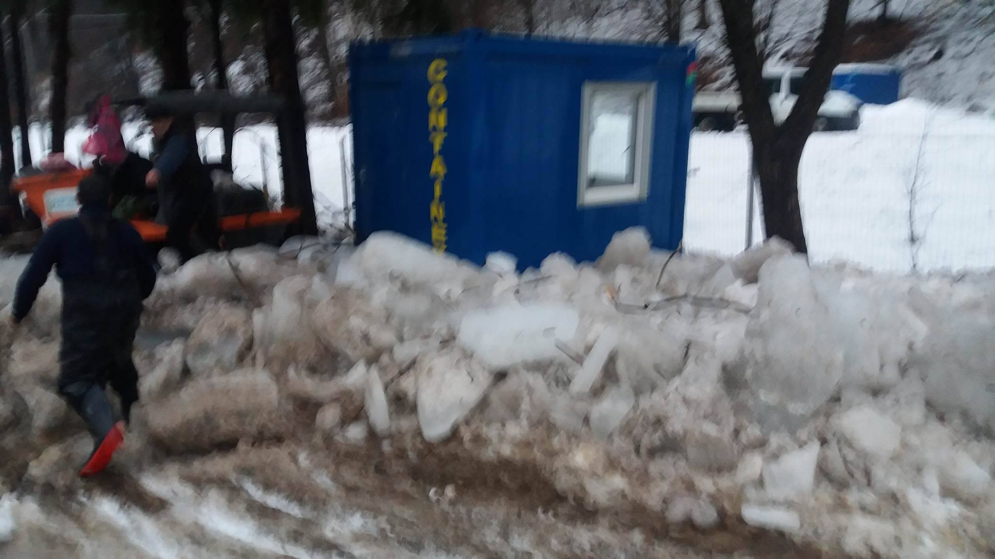 16522341_1282417278463970_812091774_o