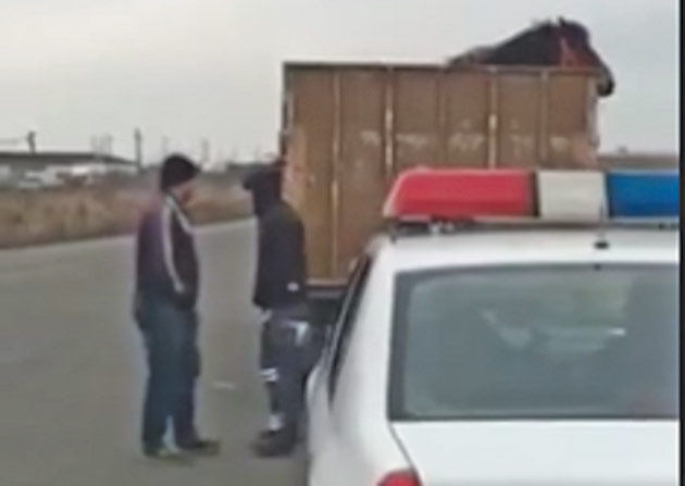 Transportatori de animale și de alimente, amendați drastic de DSVSA