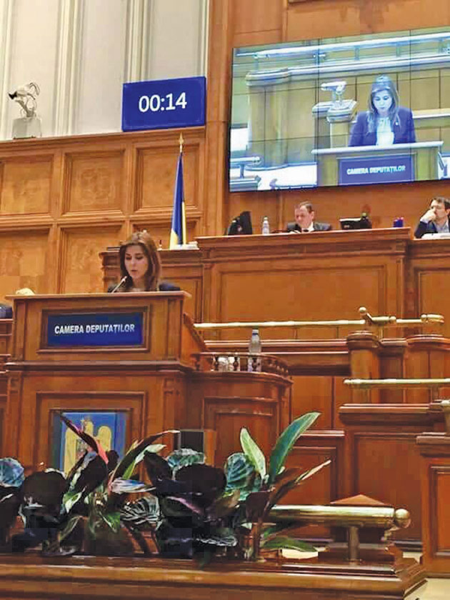 Deputatul PSD de Satu Mare, Ioana Bran, propune burse pentru elevii din învățământul dual