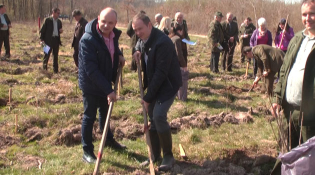 Plantare de pomi la Baba Novac