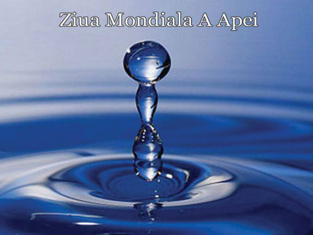 Acțiuni organizate de SGA Satu Mare de Ziua  Mondială a Apei 2017