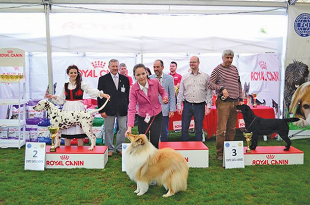 Dog Show 2017 Satu Mare se va desfășura în aprilie