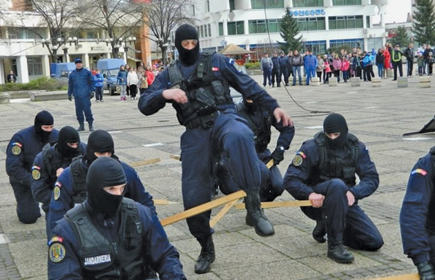 Demonstrații de tehnică și luptă și cros de Ziua Jandarmeriei la Satu Mare