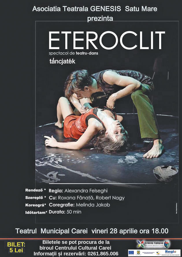 Spectacol de teatru-dans la Carei