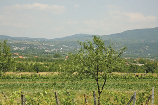 Tarna Mare- loc de istorie şi de legendă