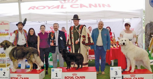 Dog Show Satu Mare 2017, o ediție mai specială