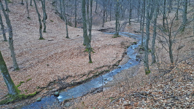 Frumuseţile mai puţin cunoscute ale judeţului Satu Mare