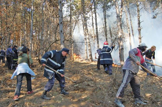 Pădure salvată de la incendiu în ultimul moment