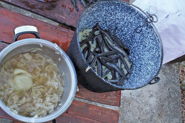 Zeama (ciorba) de ţipari- din zestrea culinară pierdută a Sătmarului