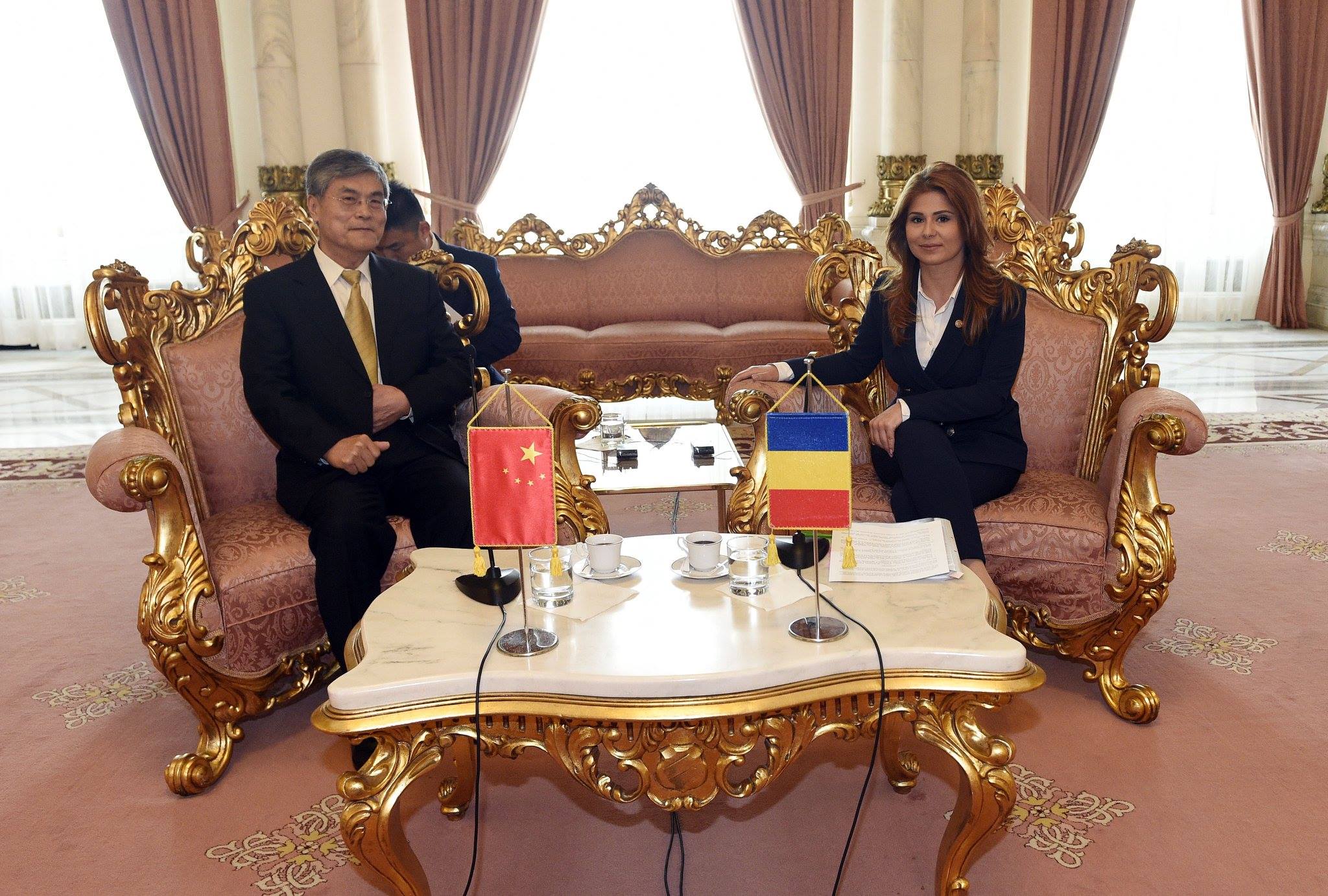 Consultări conduse de deputatul PSD Ioana Bran cu o delegație din China