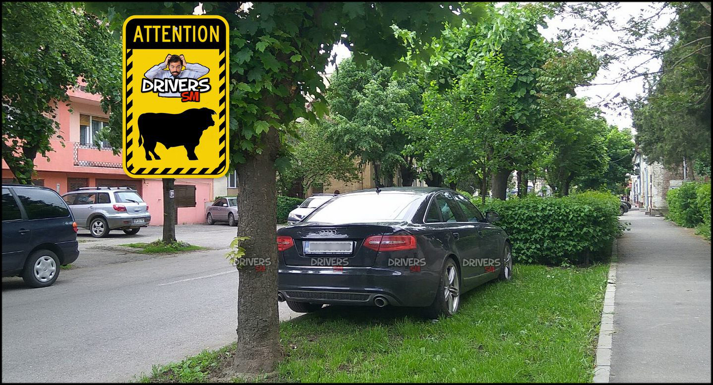 La păscut cu... maşina