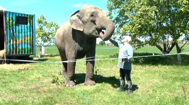 Vine circul în oraş!