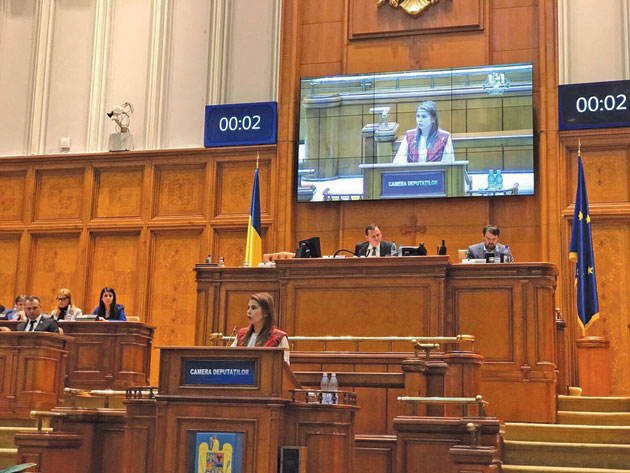 Mai mulți bani de la buget pentru creșterea porcilor