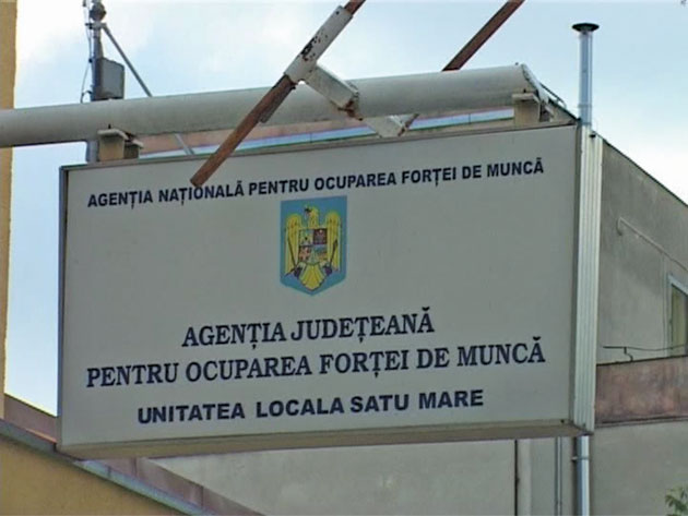 Zece cursuri de formare profesionale organizate de AJOFM în județ