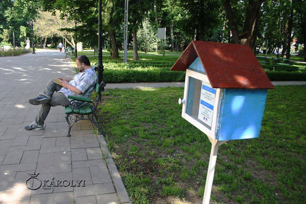 Campania ”Cuibul de Cărți”, relansată la Carei