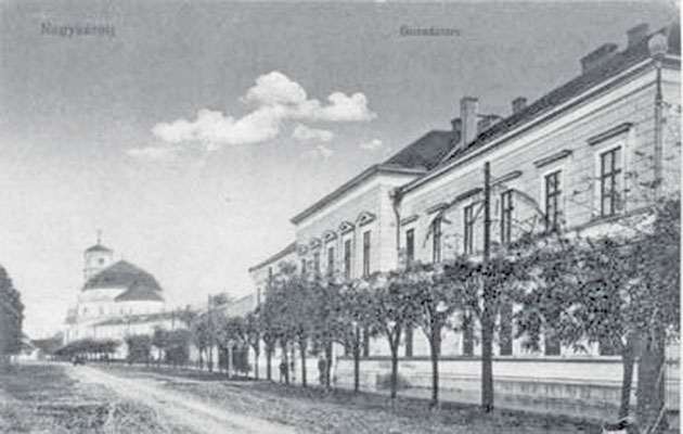 Unul dintre fruntaşii revoluţiei paşoptiste a studiat la Carei