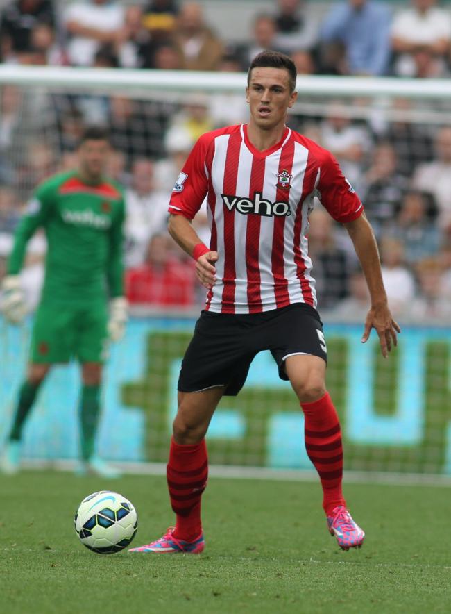 swan154A.JPG.gallery