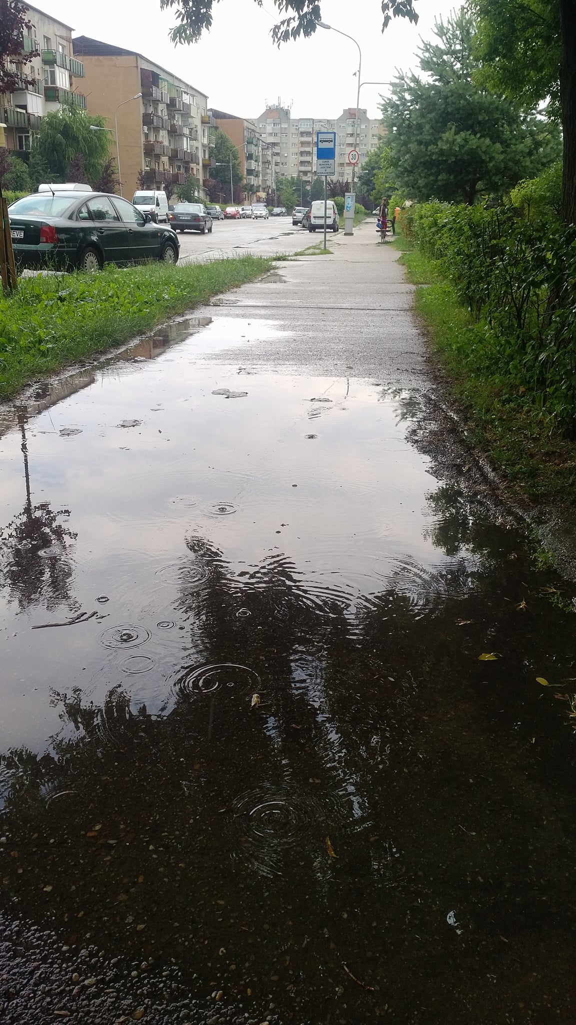 Urcăm în BUS spălați  pe picioare sau cu noroi?