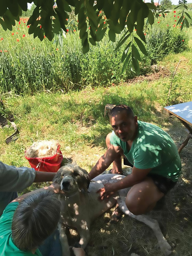 Poveste cu final fericit! Bingo, căţeluşa care a fost salvată de la moarte